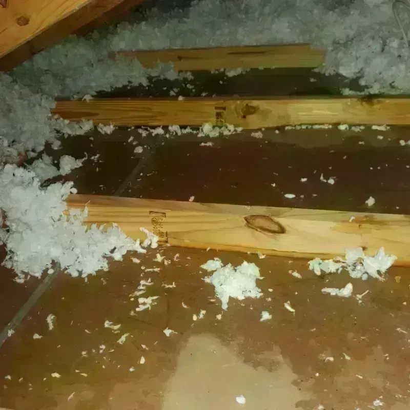 Attic Water Damage in Brushy Creek, TX