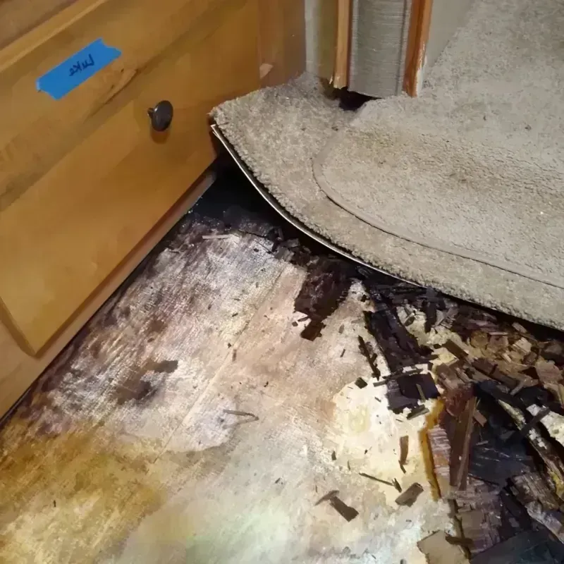 Wood Floor Water Damage in Brushy Creek, TX